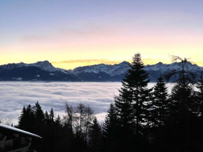 Angelo Aparts Torgon Portes du Soleil Les Crêtes